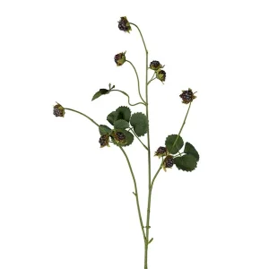 Mr Plant Björnbärskvist 95cm