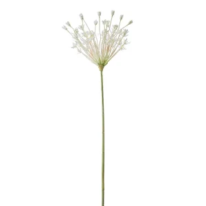 Mr Plant Allium 107cm Vit