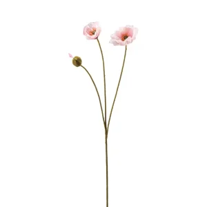 Mr Plant Vallmo 75cm Rosa