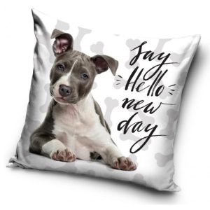 Say Hello new day – Kuddfodral 40x40cm