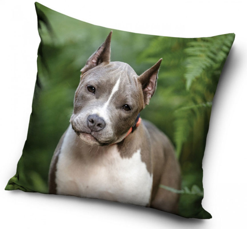 Amstaff valp – Kuddfodral 40x40cm - Bild 2