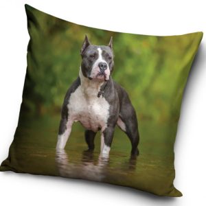 Amstaff i vatten – Kuddfodral 40x40cm