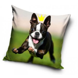 Boston terrier – Kuddfodral 40x40cm