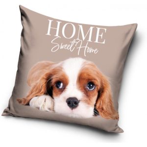 King Charles Spaniel – Kuddfodral 40x40cm – Beige